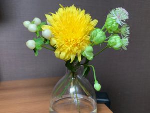 【レビュー】かわいいが届くお花便「FLOWER」〜おうちも気分も明るくなる素敵なサービス〜