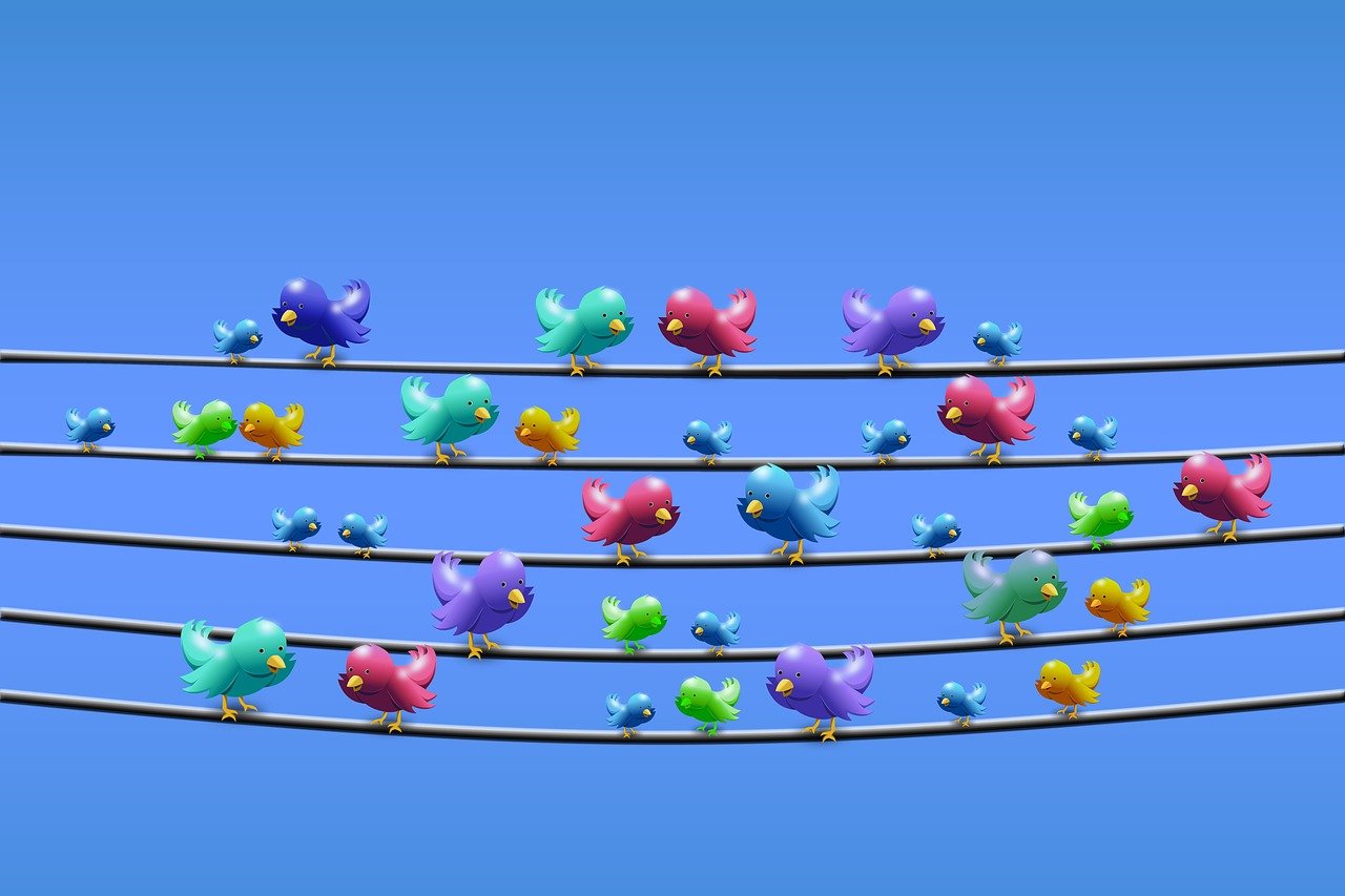Twitterの鳥たち